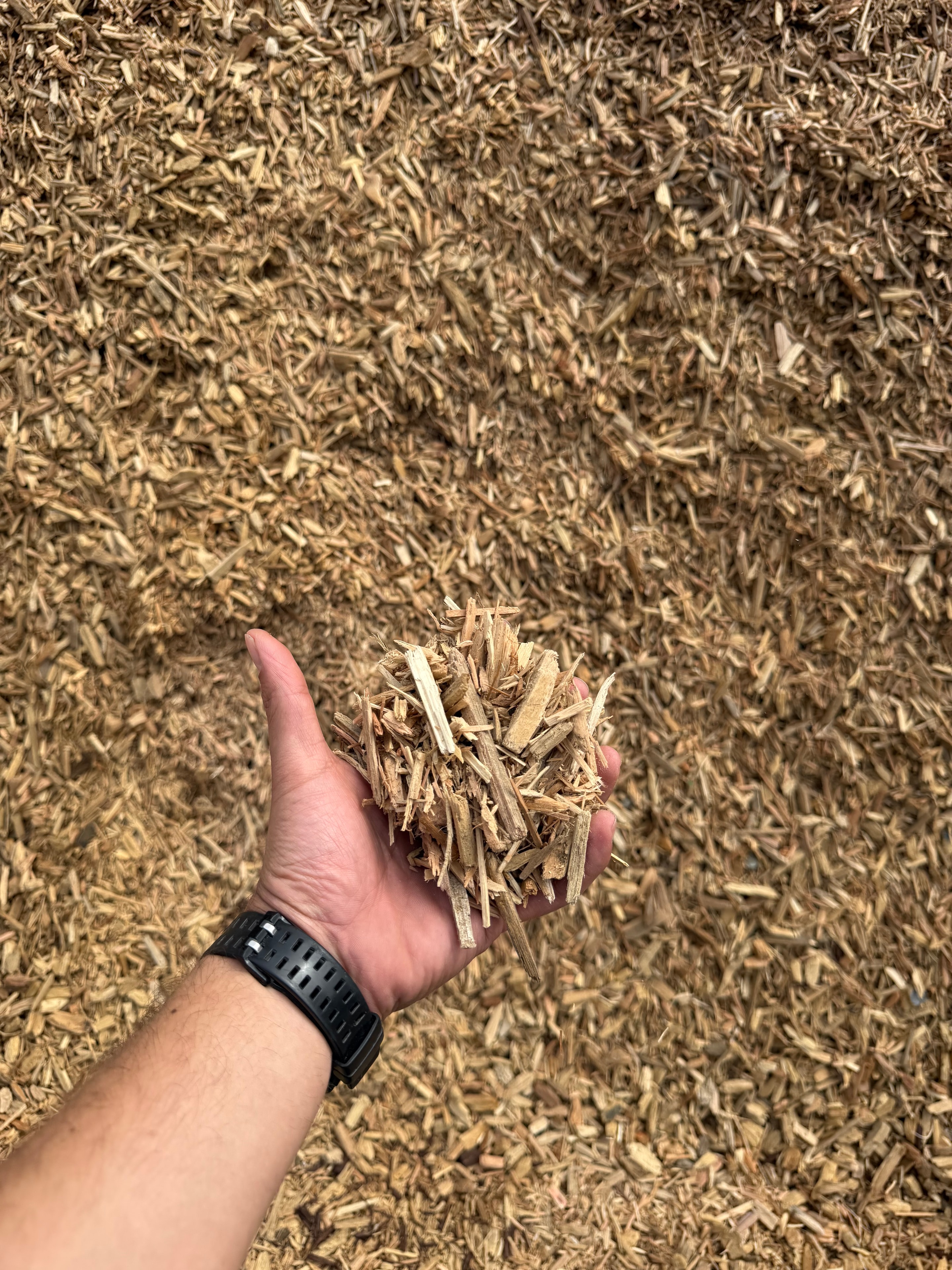Natural plain wood chips used for landscaping